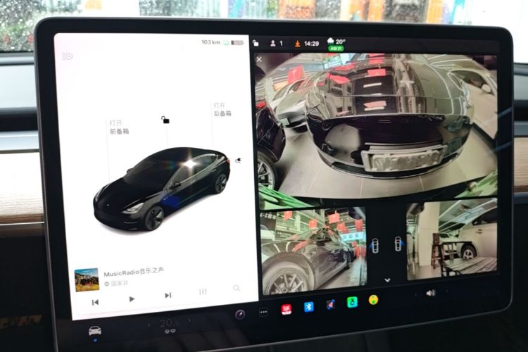 Tesla Model 3 2021 #13 Tesla Model 3 2021 immagine di auto #13