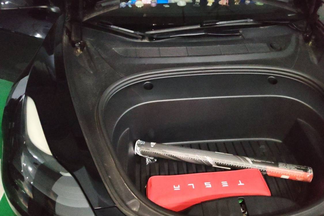 Tesla Model 3 2021 immagine di auto #11