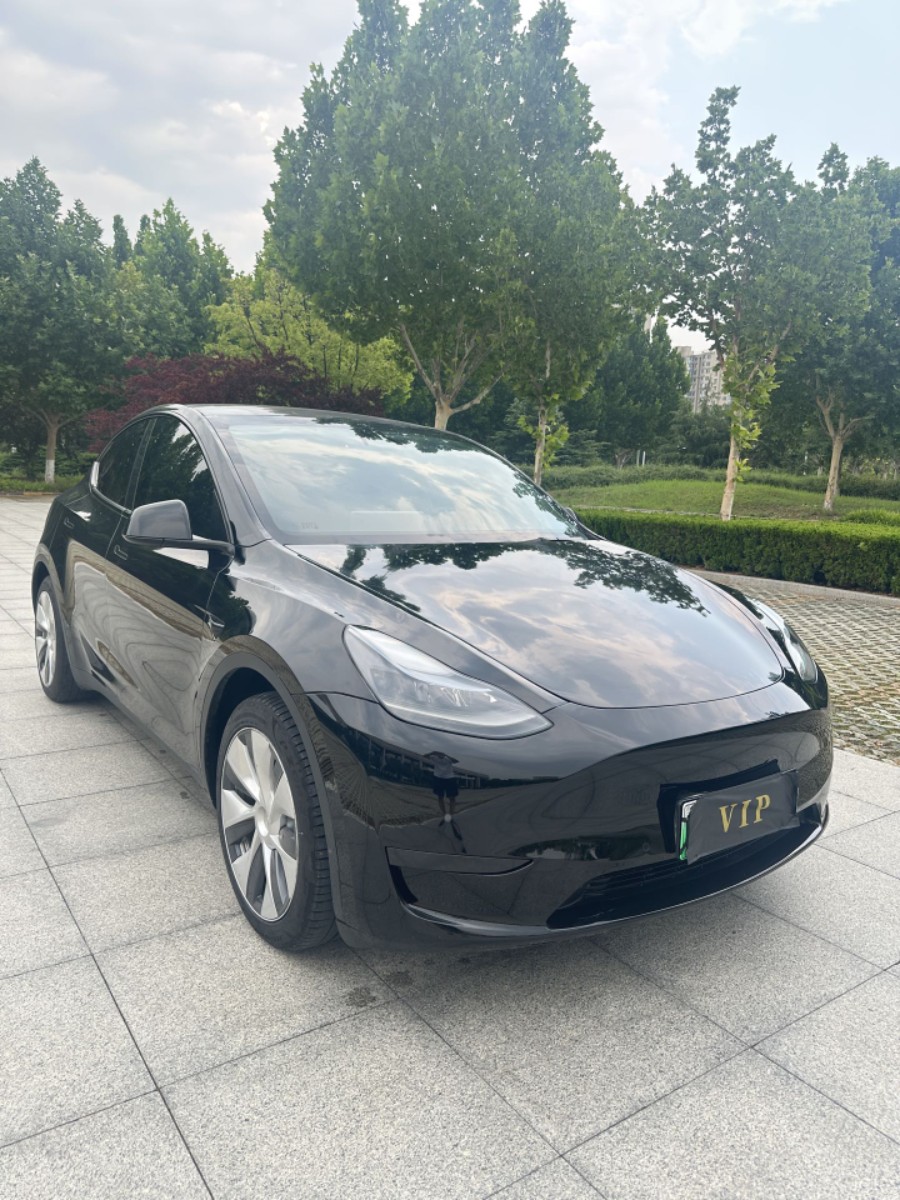 Tesla Model Y 2022 car image #3