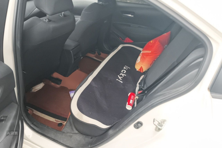 Toyota Corolla 2021 car image #19