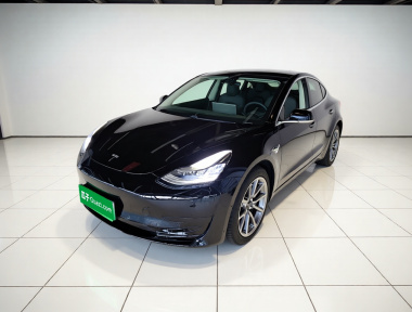 Tesla Model 3 2020 car image 