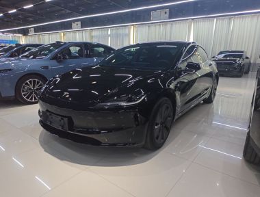 Tesla Model 3 2023 Tesla Model 3 2023 car image