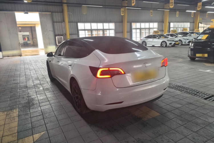 Tesla Model 3 2021 #5 Tesla Model 3 2021 car image #5