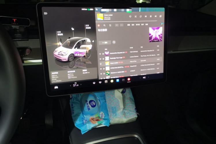 Tesla Model Y 2025 صورة سيارة #13