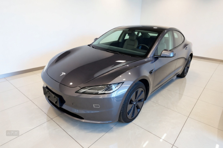 Tesla Model 3 2024 #2 Tesla Model 3 2024 car image #2