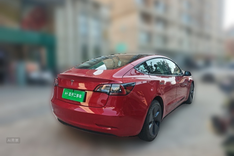 Tesla Model 3 2022 car image #7