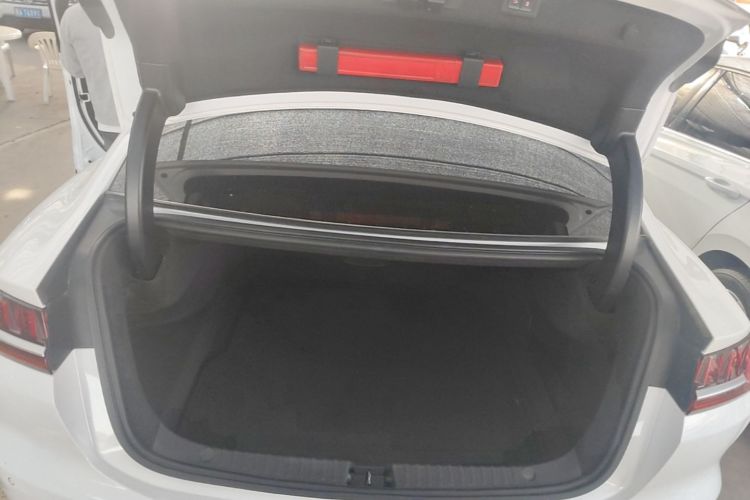 BYD Han 2022 #19 BYD Han 2022 immagine di auto #19