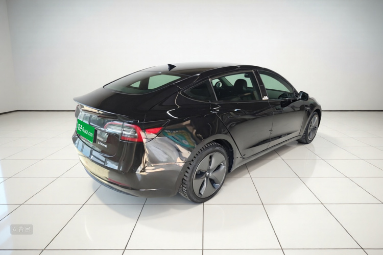 Tesla Model 3 2020 car image #7