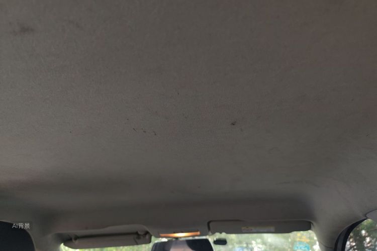 Volkswagen Santana 2018 car image #20