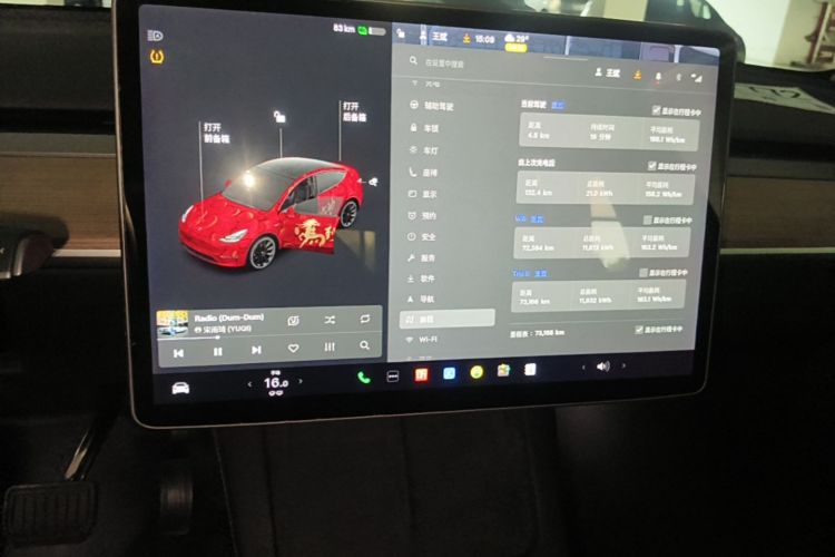 Tesla Model Y 2021 car image #13