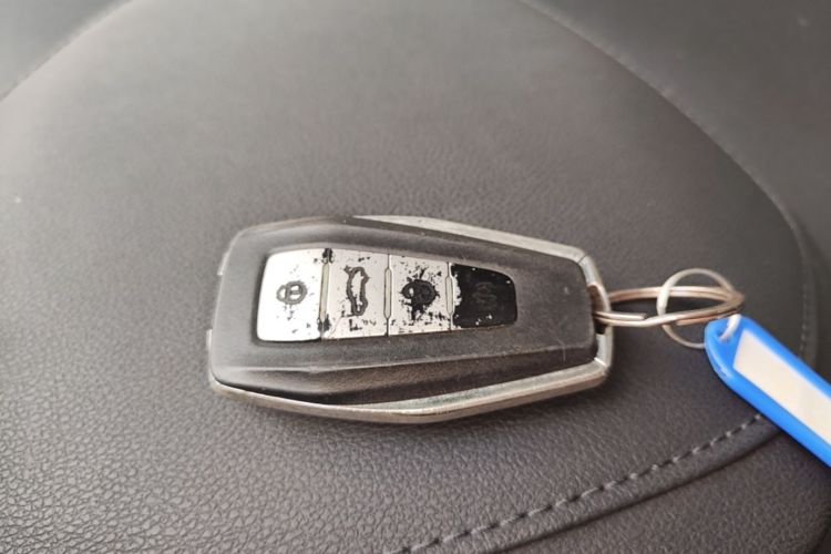 GEELY Emgrand 2021 immagine di auto #9