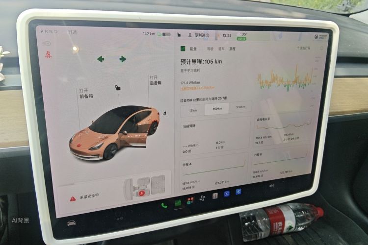 Tesla Model 3 2021 car image #13