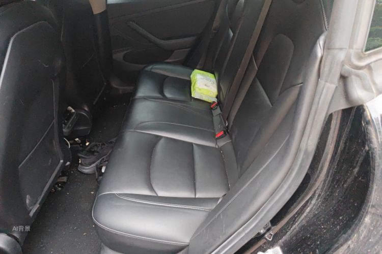 Tesla Model 3 2020 car image #19