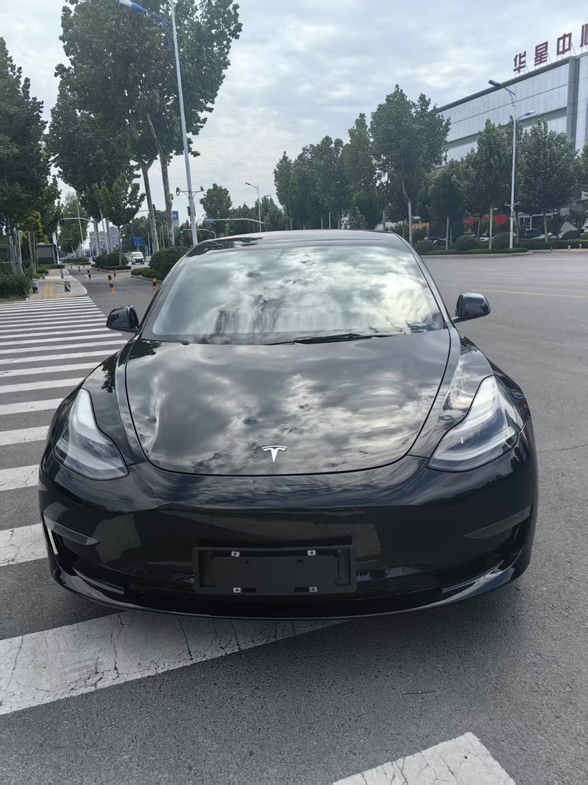 Tesla Model 3 2021 #6 Tesla Model 3 2021 car image #6