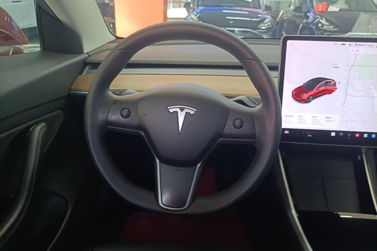 Tesla Model 3 2020 car image #11