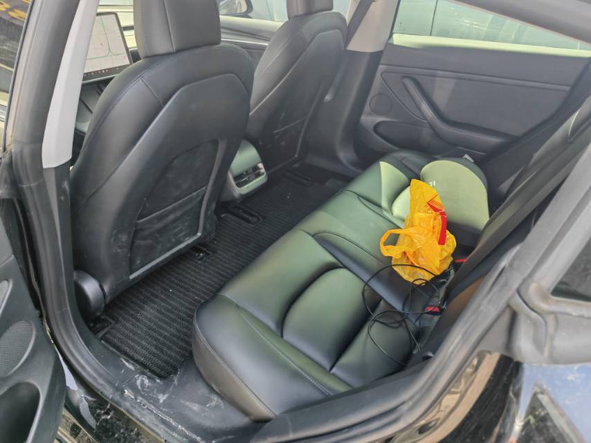 Tesla Model 3 2021 #5 Tesla Model 3 2021 car image #5