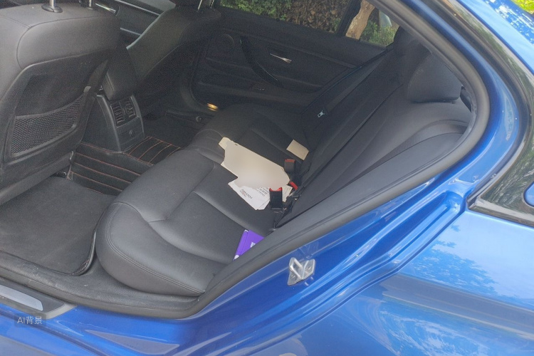 BMW 3 Series 2017 car image #19