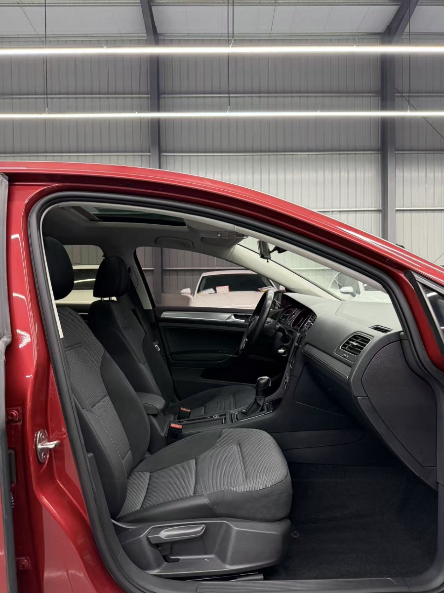 Volkswagen Golf 2019 car image #5