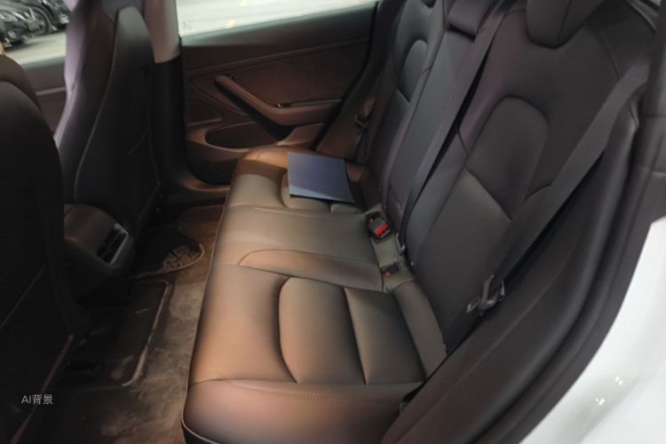 Tesla Model 3 2020 car image #20
