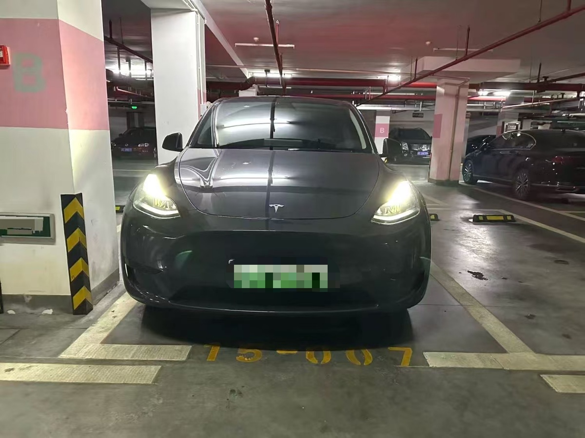 Tesla Model Y 2024 car image #2