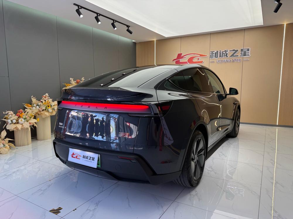 Tesla Model Y 2025 car image #6