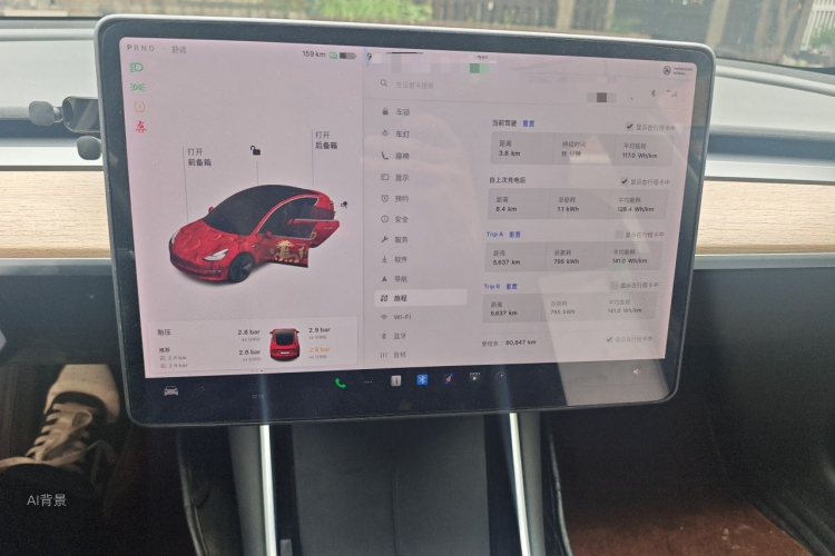 Tesla Model 3 2020 car image #15