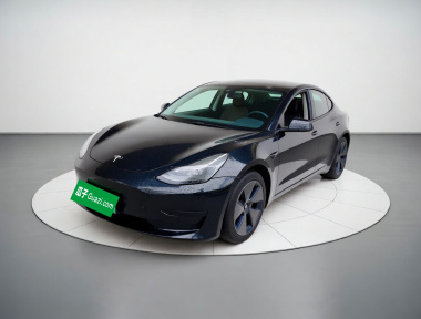 Tesla Model 3 2021 Tesla Model 3 2021 car image
