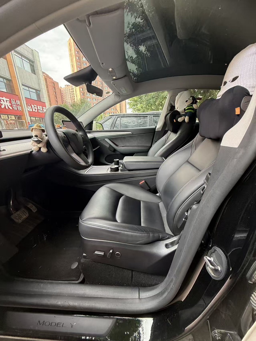 Tesla Model Y 2023 car image #3