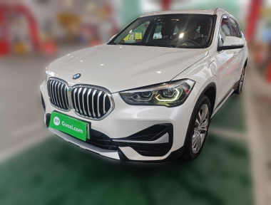 BMW X1 New Energy 2020 car image 