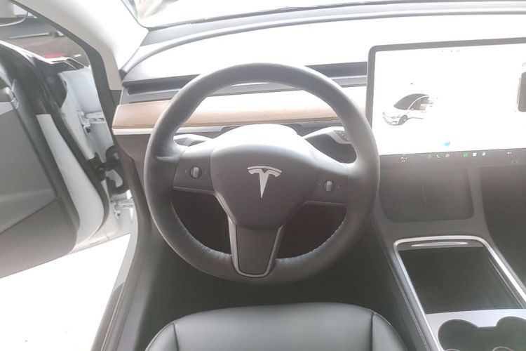 Tesla Model 3 2021 car image #11