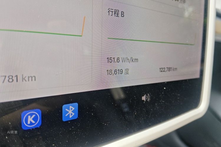 Tesla Model 3 2021 car image #14