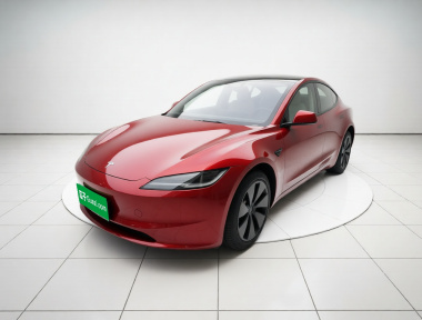 Tesla Model 3 2024 car image 