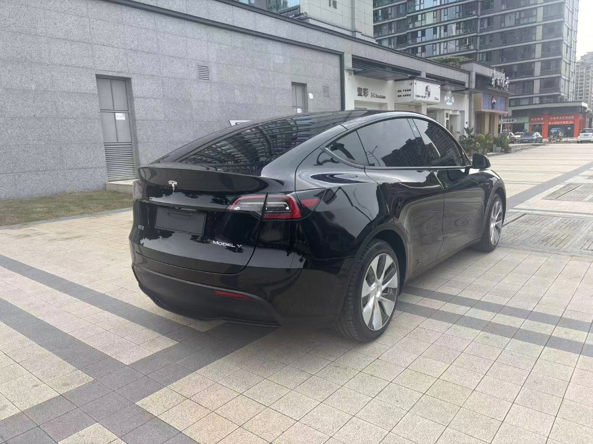 Tesla Model Y 2023 car image #10