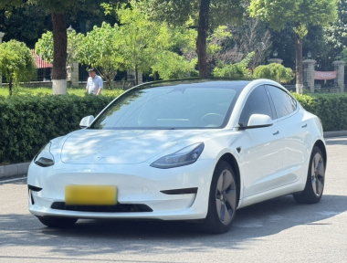 Tesla Model 3 2023 car image 