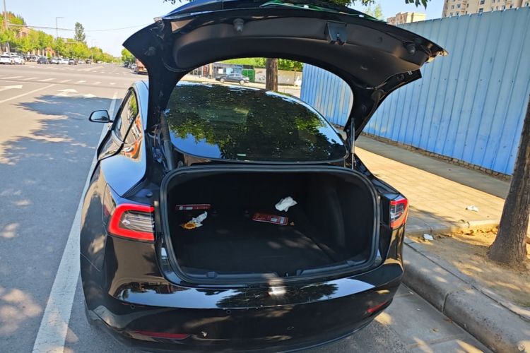 Tesla Model 3 2022 car image #21