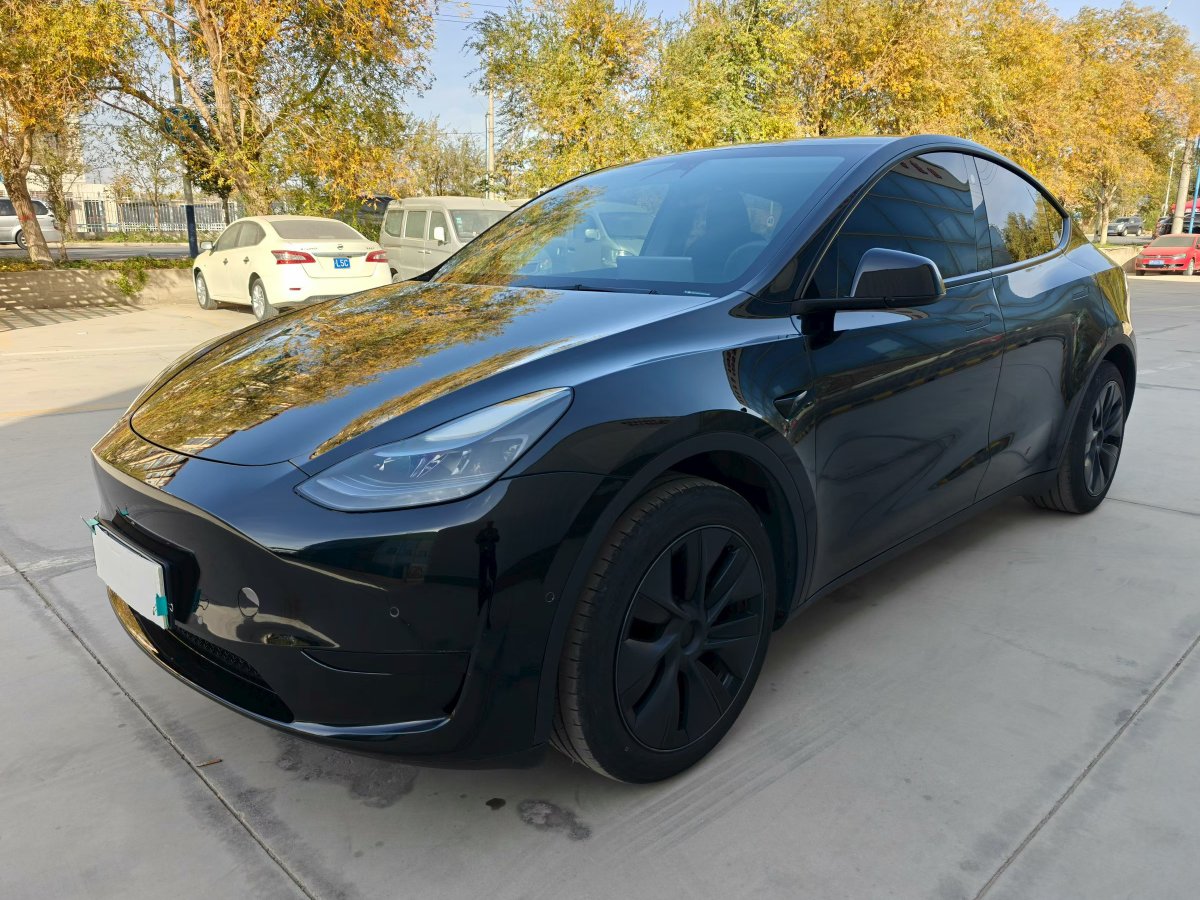 Tesla Model Y 2023 Tesla Model Y 2023 immagine di auto