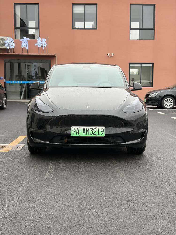 Tesla Model Y 2022 car image #2