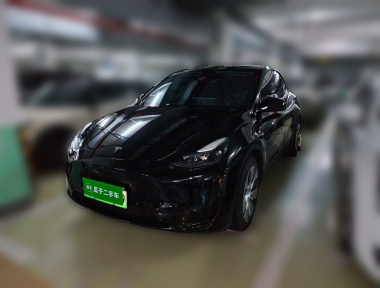Tesla Model Y 2022 car image 