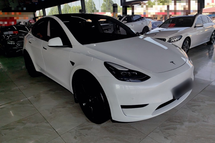 Tesla Model Y 2023 immagine di auto #4