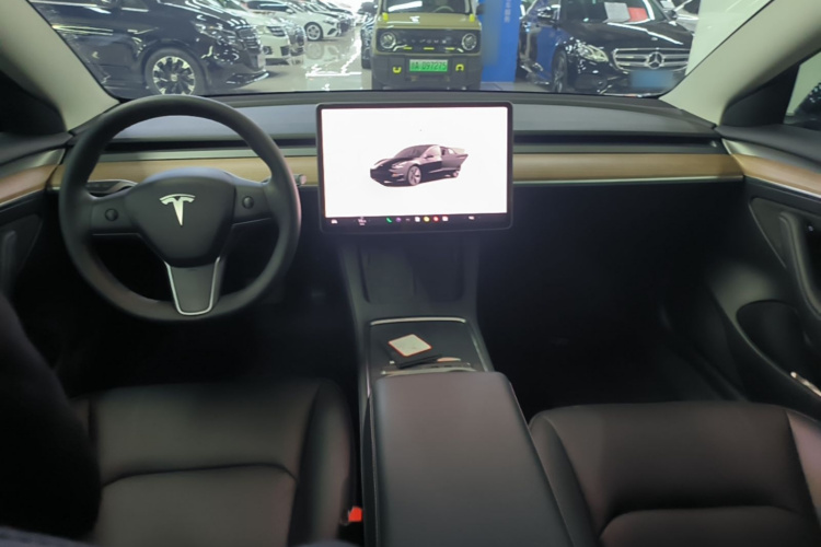Tesla Model 3 2022 #10 Tesla Model 3 2022 car image #10