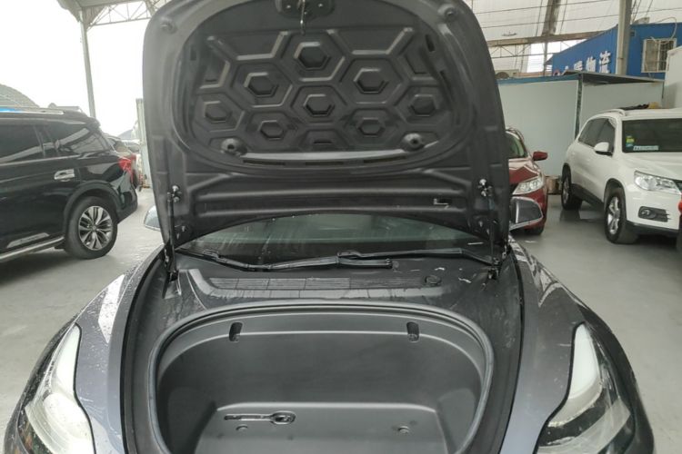 Tesla Model 3 2020 car image #20