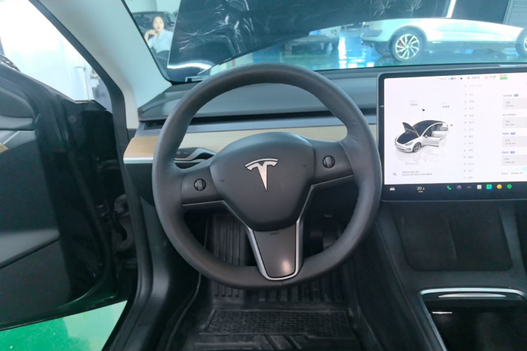 Tesla Model 3 2023 imagem de carro #11