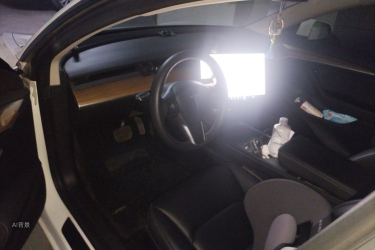 Tesla Model 3 2021 #11 Tesla Model 3 2021 car image #11