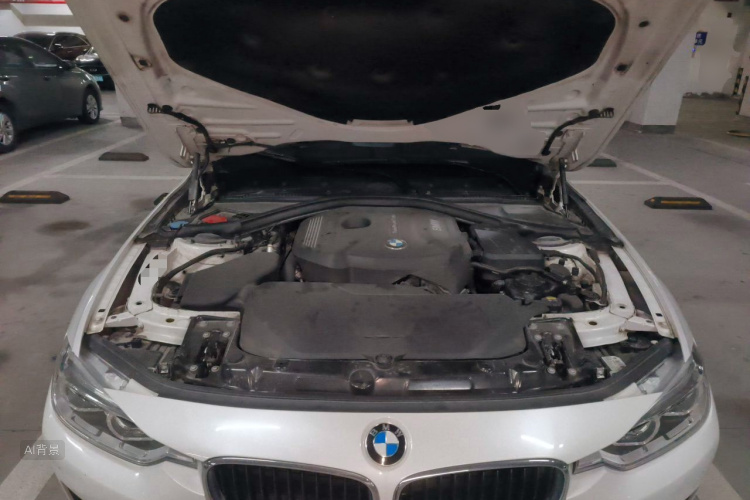 BMW 3 Series 2017 car image #22