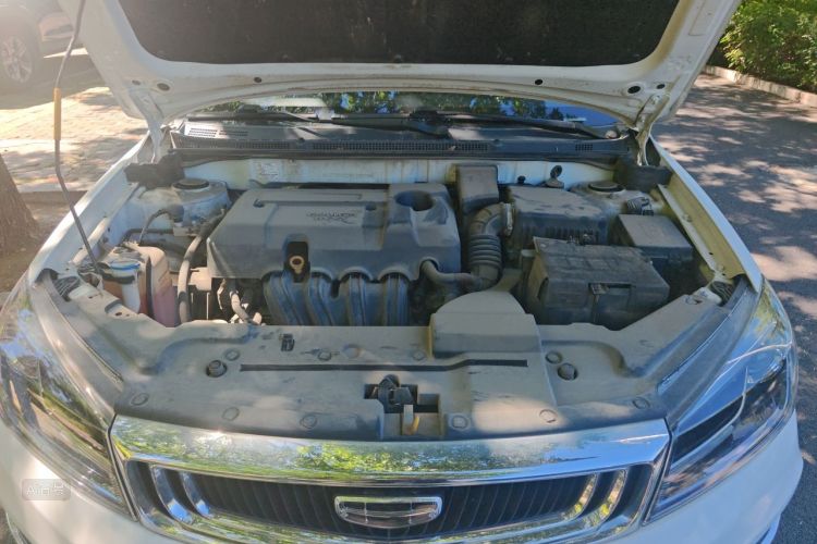 GEELY Emgrand 2019 car image #22