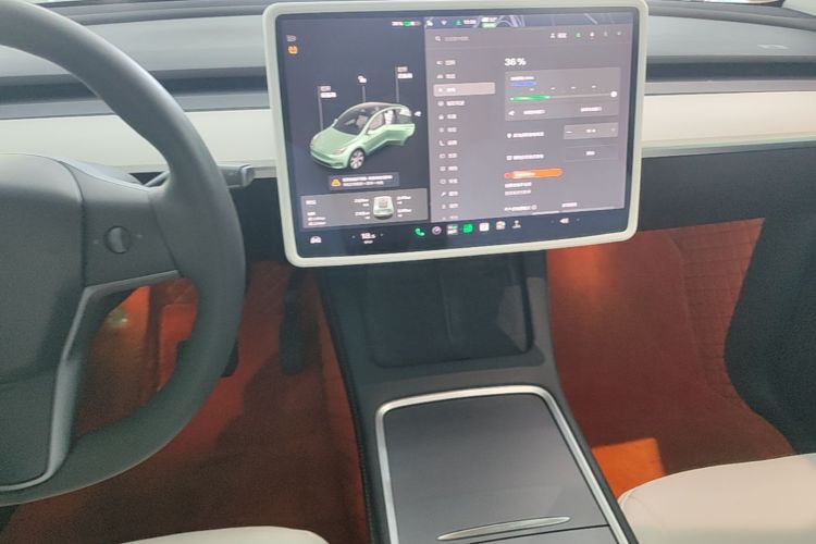 Tesla Model Y 2021 car image #13