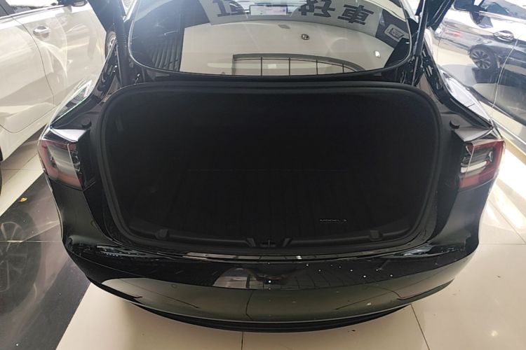 Tesla Model 3 2023 #21 Tesla Model 3 2023 car image #21