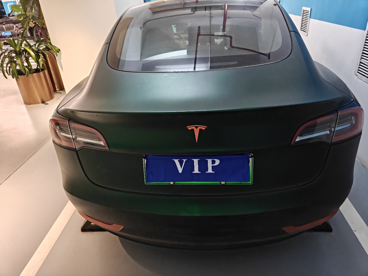 Tesla Model 3 2021 car image #13