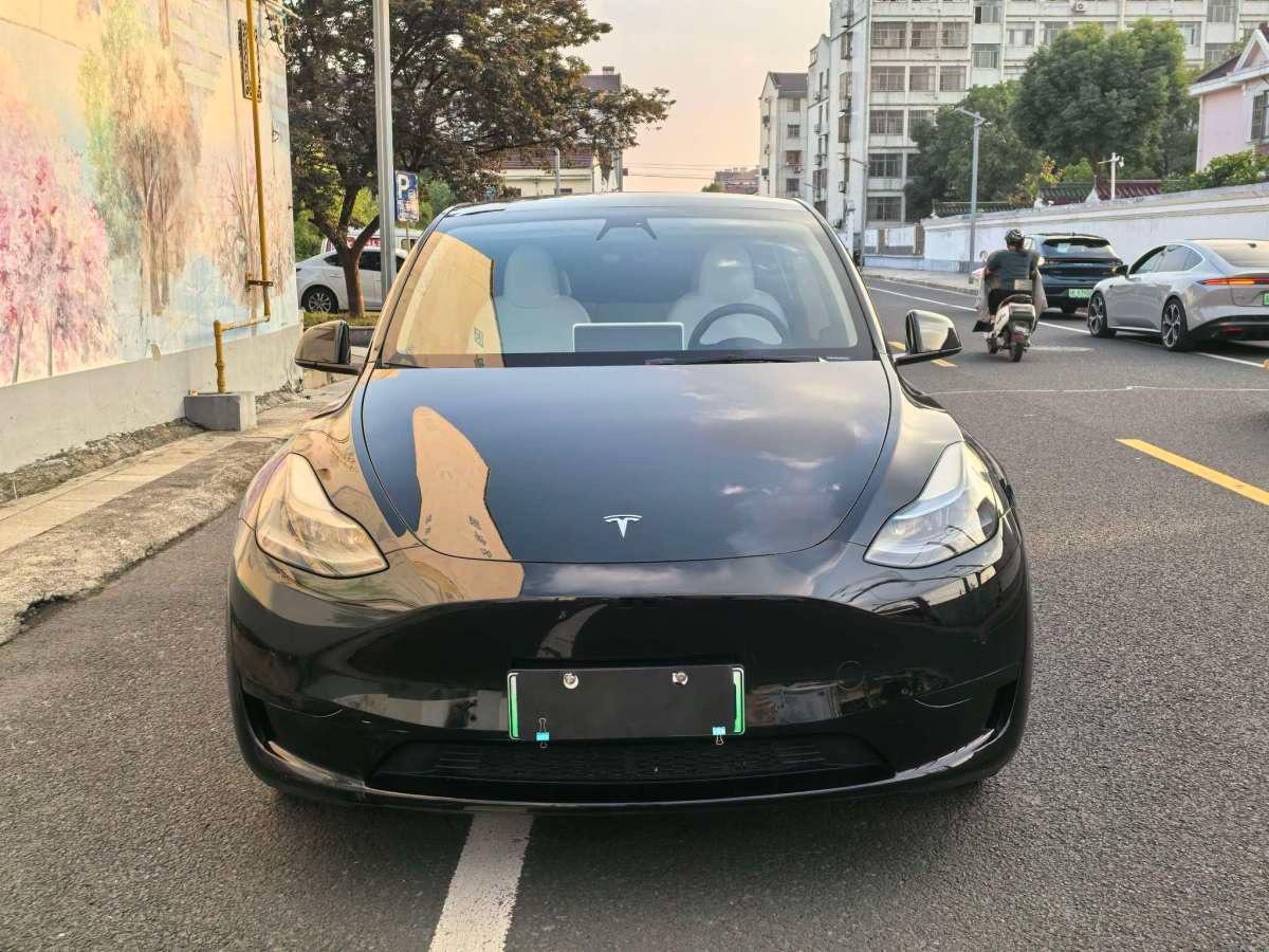 Tesla Model Y 2023 #5 Tesla Model Y 2023 car image #5