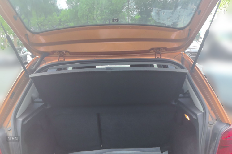 Volkswagen Polo 2015 car image #21